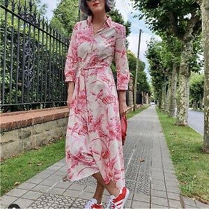 Zara | Pink Long Sleeve Shirtdress Midi Dress Tie Belt Bird Floral Toile Print